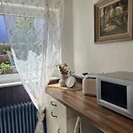 Rhinwald 5 Min From Europa-park Apartman Kappel-Grafenhausen