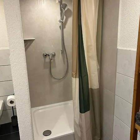 Rhinwald 5 Min From Europa-park Apartman Kappel-Grafenhausen